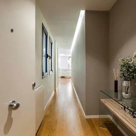 Apartment Prim Luxury & Cool In The Heart Of Ss San Sebastian
